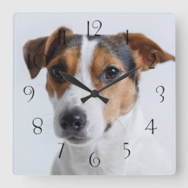 Reloj Cuadrado Jack russell terrer