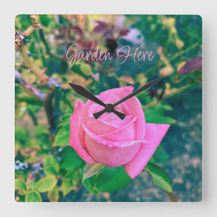 Reloj Cuadrado Jardín Aquí Señal de Rosa Rosa