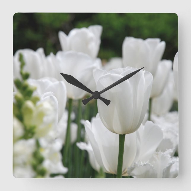 Reloj Cuadrado jardín tulipán blanco (Anverso)