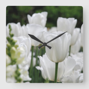 Reloj Cuadrado jardín tulipán blanco