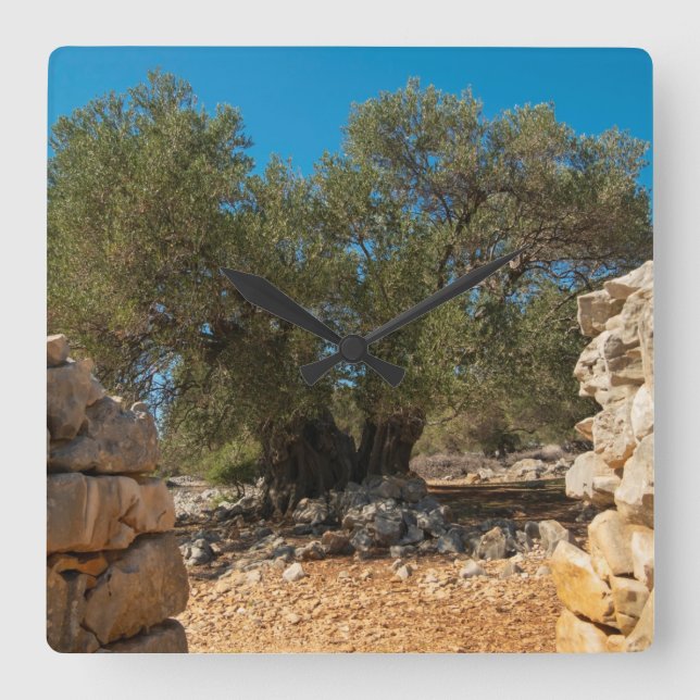Reloj Cuadrado Jardines de oliva de Lun (Anverso)