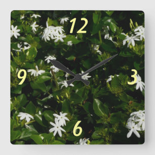 Reloj Cuadrado Jazmín Flores Tropicales Florales Botánicas