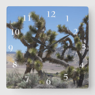 Reloj Cuadrado Joshua Tree en California
