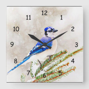 Reloj Cuadrado Judía azul en un pino con nieve