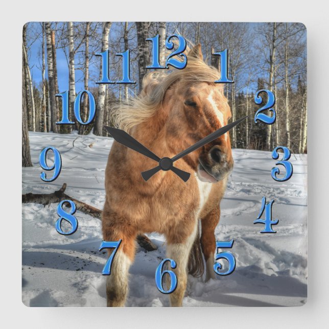 Reloj Cuadrado Jugoso caballo de Palomino Pinto y Nieve (Anverso)