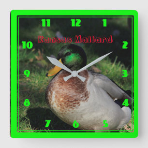 Reloj Cuadrado Kansas Mallard Square Wall Clock