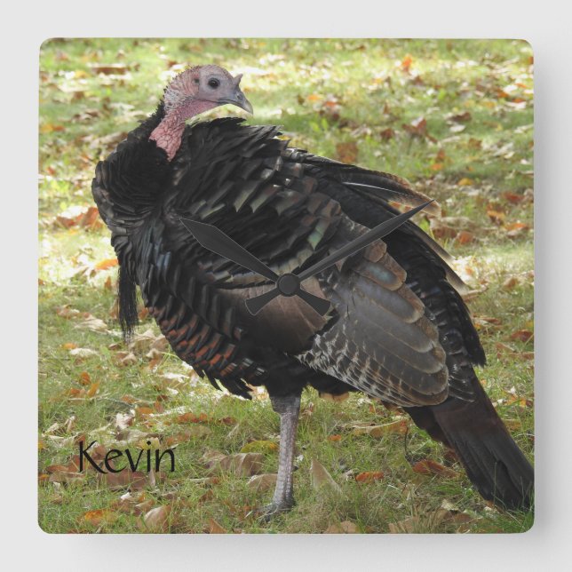 Reloj Cuadrado Kevin The Turkey - Old Wethersfield , CT (Anverso)