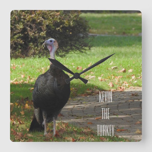 Reloj Cuadrado Kevin The Turkey - Old Wethersfield , CT (Anverso)