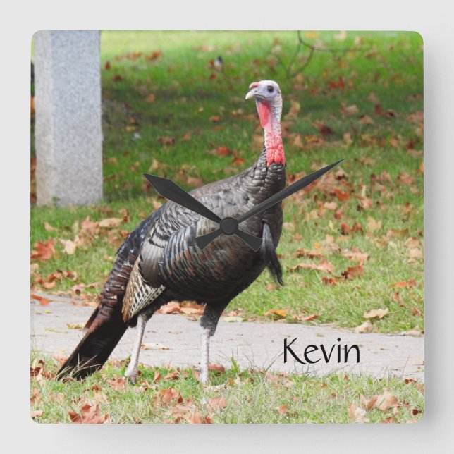 Reloj Cuadrado Kevin The Turkey - Old Wethersfield , CT (Anverso)