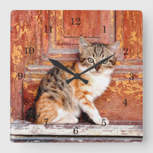 Reloj Cuadrado Kitten by Barn Square Wall Clock
