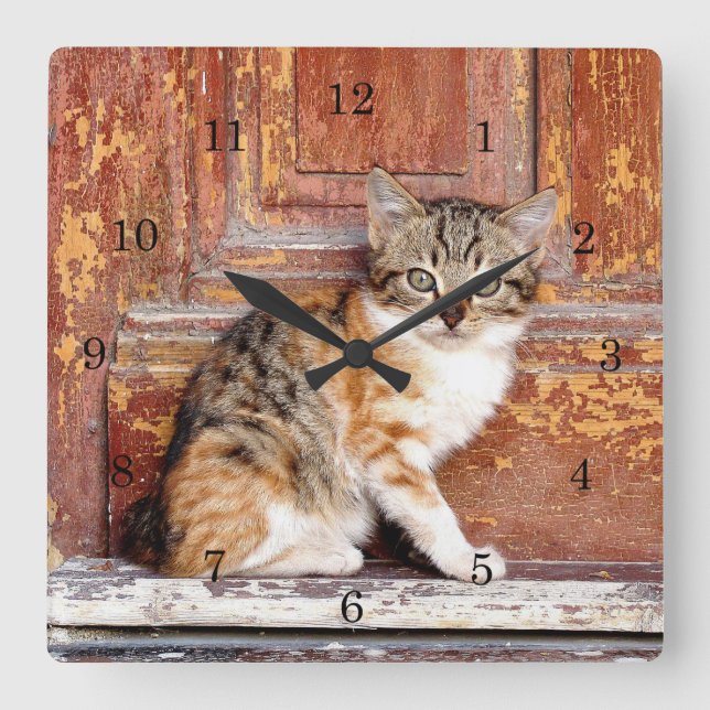 Reloj Cuadrado Kitten by Barn Square Wall Clock (Anverso)