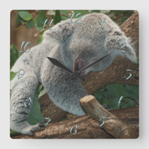 Reloj Cuadrado Koala