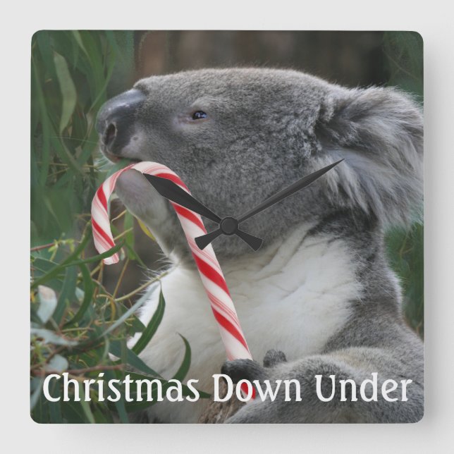 Reloj Cuadrado Koala linda que come el bastón de caramelo (Anverso)