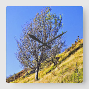 RELOJ CUADRADO L0NE TREE