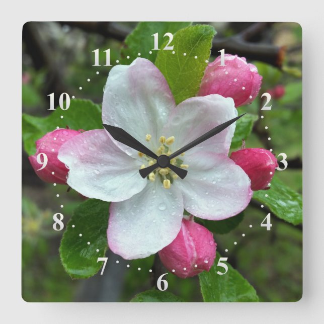 Reloj Cuadrado La lluvia cae sobre la flor pequeña (Anverso)