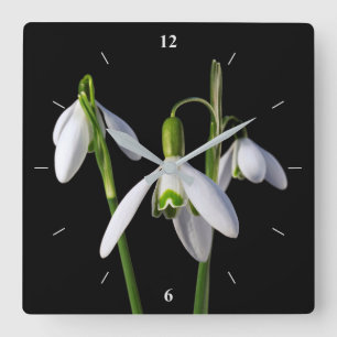 Reloj Cuadrado La primavera salta eterno