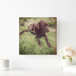 Reloj Cuadrado Laboratorio del chocolate que miente en fotografí