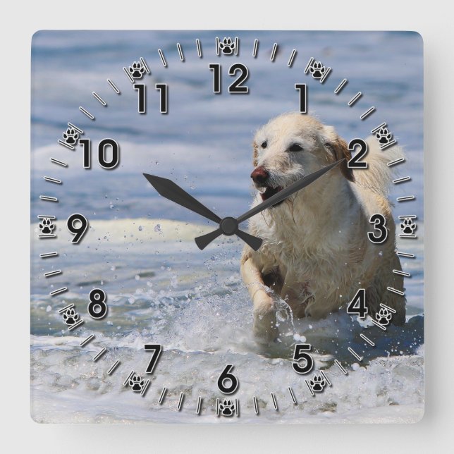 Reloj Cuadrado Labradoodle - Izzy (Anverso)