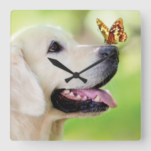 Reloj Cuadrado Labrador And Butterfly Throw Pillow