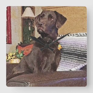 Reloj Cuadrado Labrador de chocolate en la silla