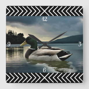 Reloj Cuadrado Lago Mallard Duck