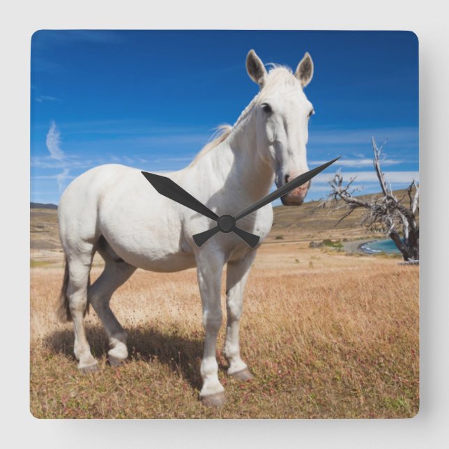 Reloj Cuadrado Laguna Azul, paisaje con caballos (Anverso)