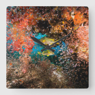 Reloj Cuadrado Laja Ampat Subacuático 6