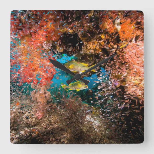 Reloj Cuadrado Laja Ampat Subacuático 6 (Anverso)