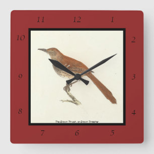 Reloj Cuadrado Las Aves de Nueva York, las Arañas Marrones o Marr