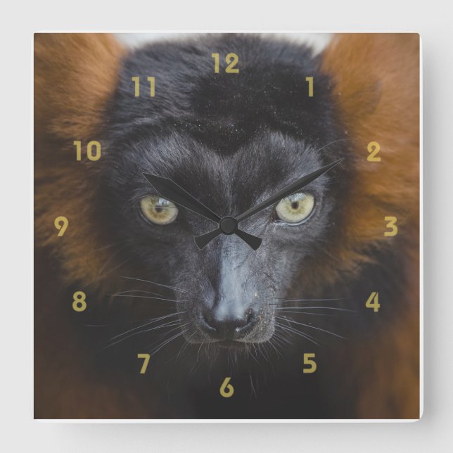 Reloj Cuadrado Lemur intenso (Anverso)