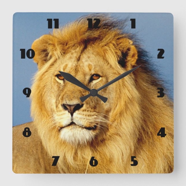 Reloj Cuadrado León africano 2 (Anverso)