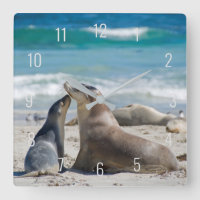 León marino y bebe en la playa de Australia Square