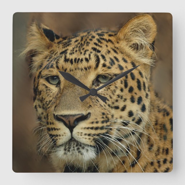 Reloj Cuadrado Leopard Lovers Art (Anverso)