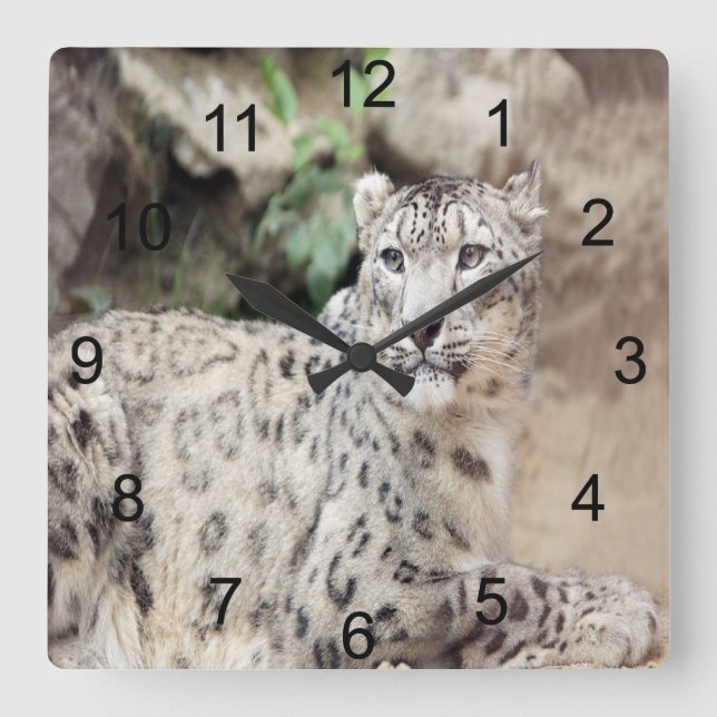 Reloj Cuadrado Leopardo de la nieve (Anverso)