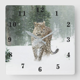 Reloj Cuadrado Leopardo de la nieve