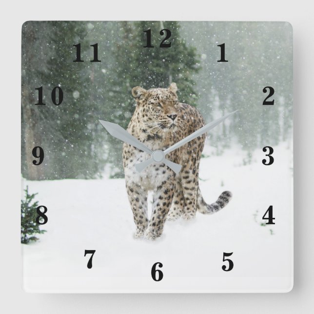 Reloj Cuadrado Leopardo de la nieve (Anverso)