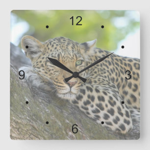 Reloj Cuadrado Leopardo en reposo