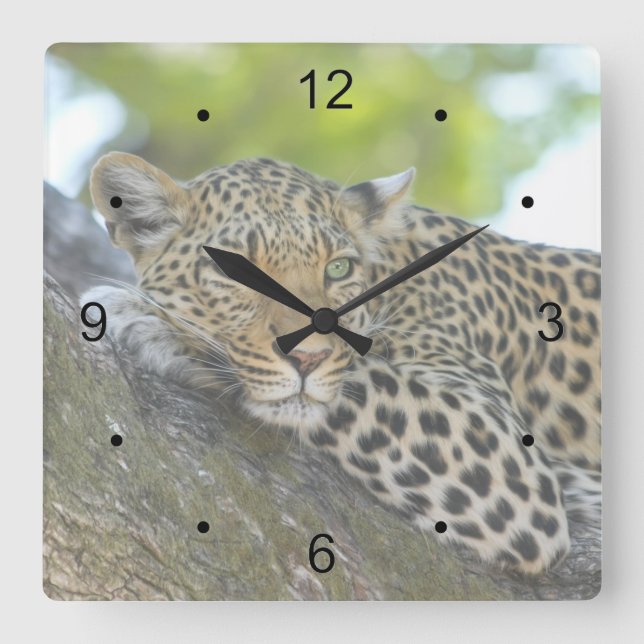 Reloj Cuadrado Leopardo en reposo (Anverso)