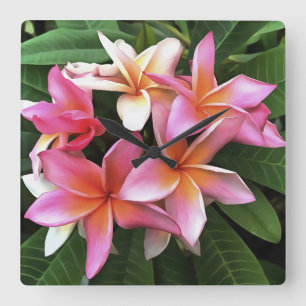 Reloj Cuadrado Leyenda De Flor De Frangipani Pink Pálido