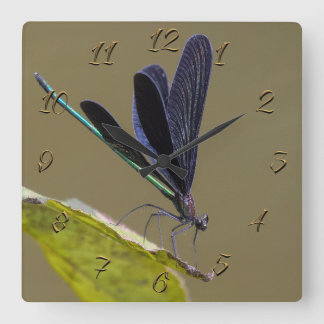 Reloj Cuadrado Libélula