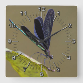 Reloj Cuadrado Libélula