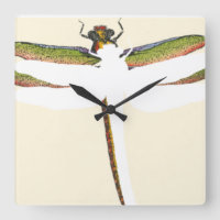 Libélula miniatura en el fondo blanco