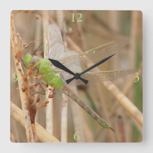 Reloj Cuadrado Libélula verde I1