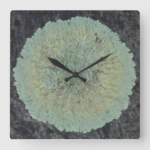 Reloj Cuadrado Lichen Mossy Circle
