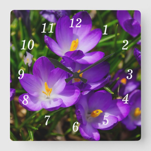 Reloj Cuadrado Lilac Crocuses Wall Clock (Anverso)