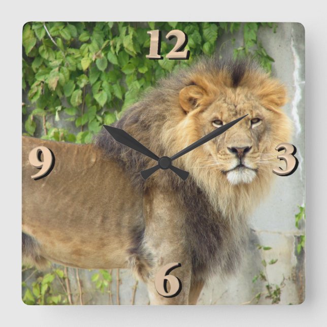 Reloj Cuadrado Lion at Maasai Mara 2 (Anverso)