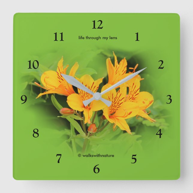 Reloj Cuadrado Lirio de los incas/del Alstroemeria amarillo (Anverso)