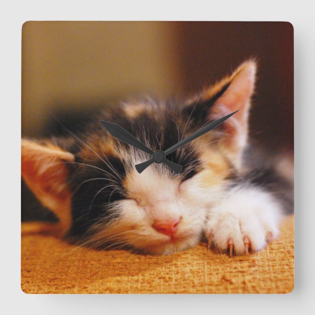 Reloj Cuadrado Little Kitty Sleeping (Anverso)