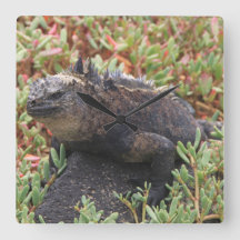 Lizard Clock