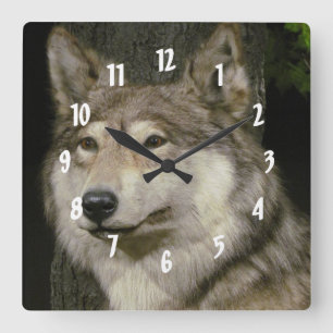Reloj Cuadrado Lobo